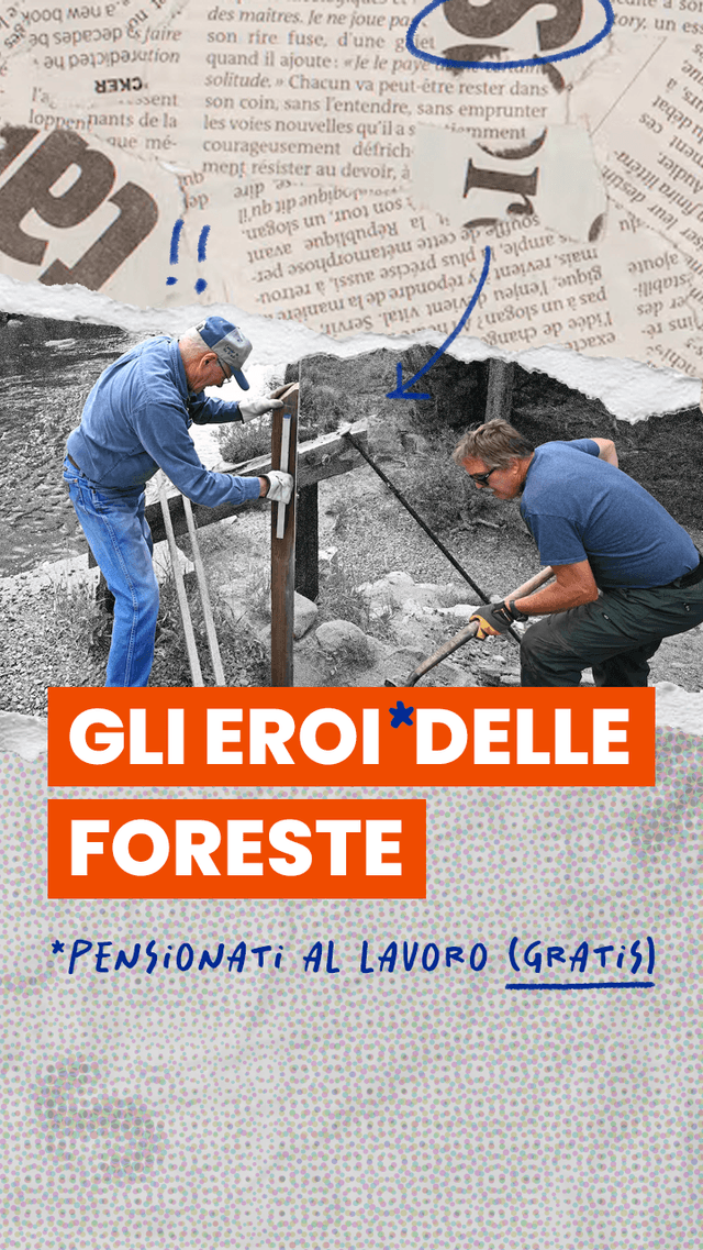 Foreste USA abbandonate dal governo: ci pensano i pensionati