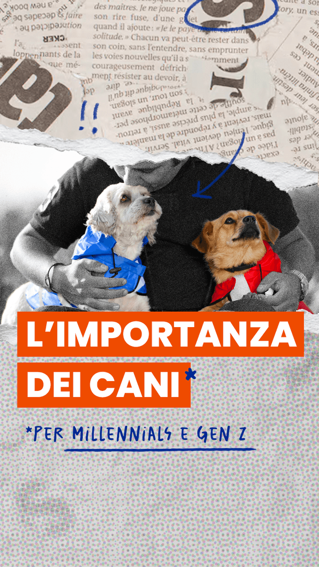 Quanta importanza diamo ai nostri animali domestici?