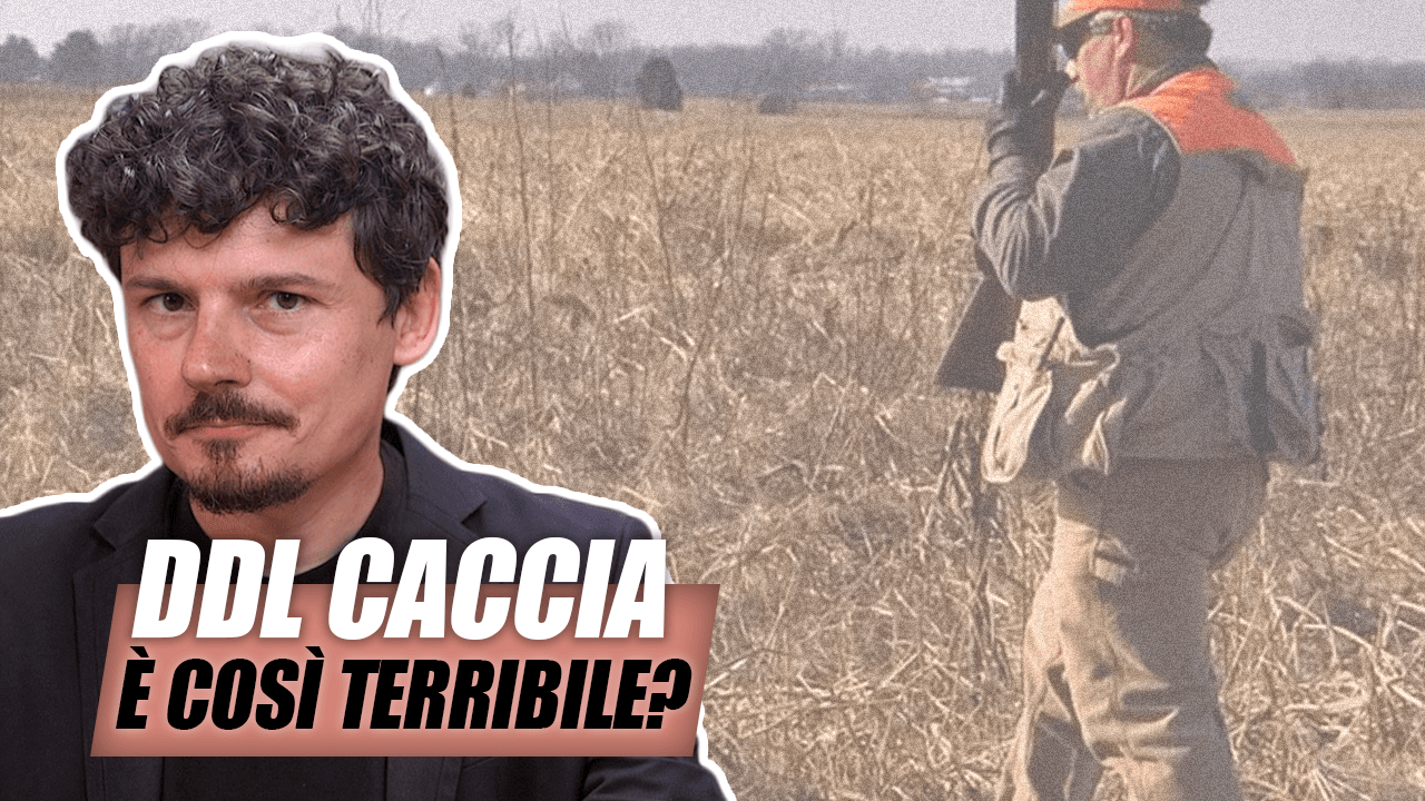 Il DDL sulla caccia sta per essere approvato… è davvero così terribile?