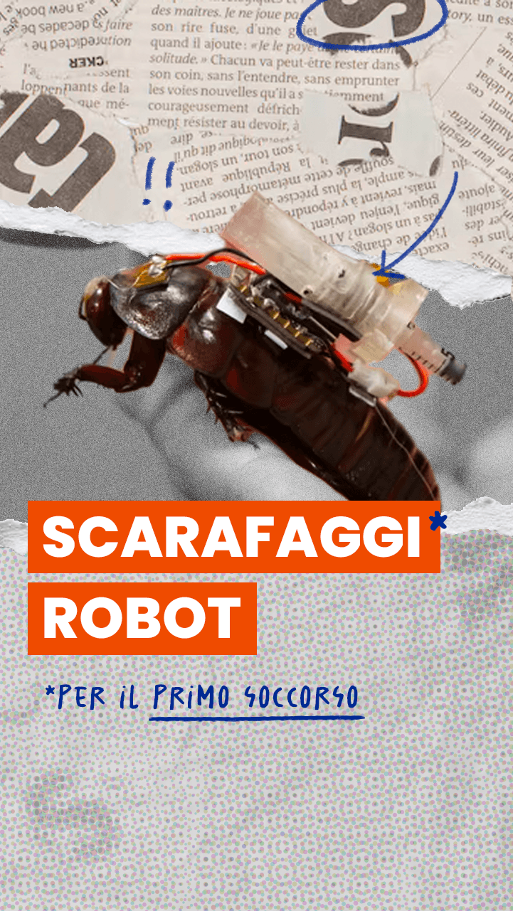 Cyber scarafaggi come animali da soccorso, l’esperimento in Australia