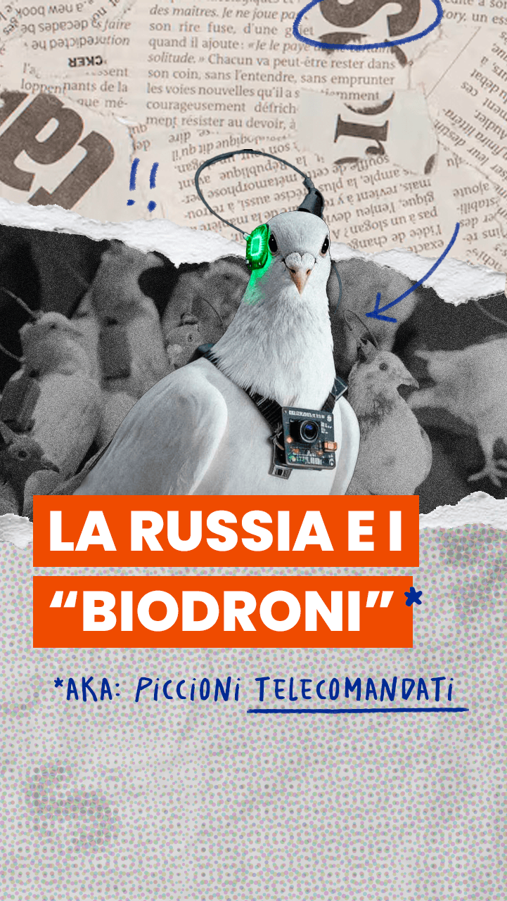 Piccioni telecomandati per la sorveglianza urbana
