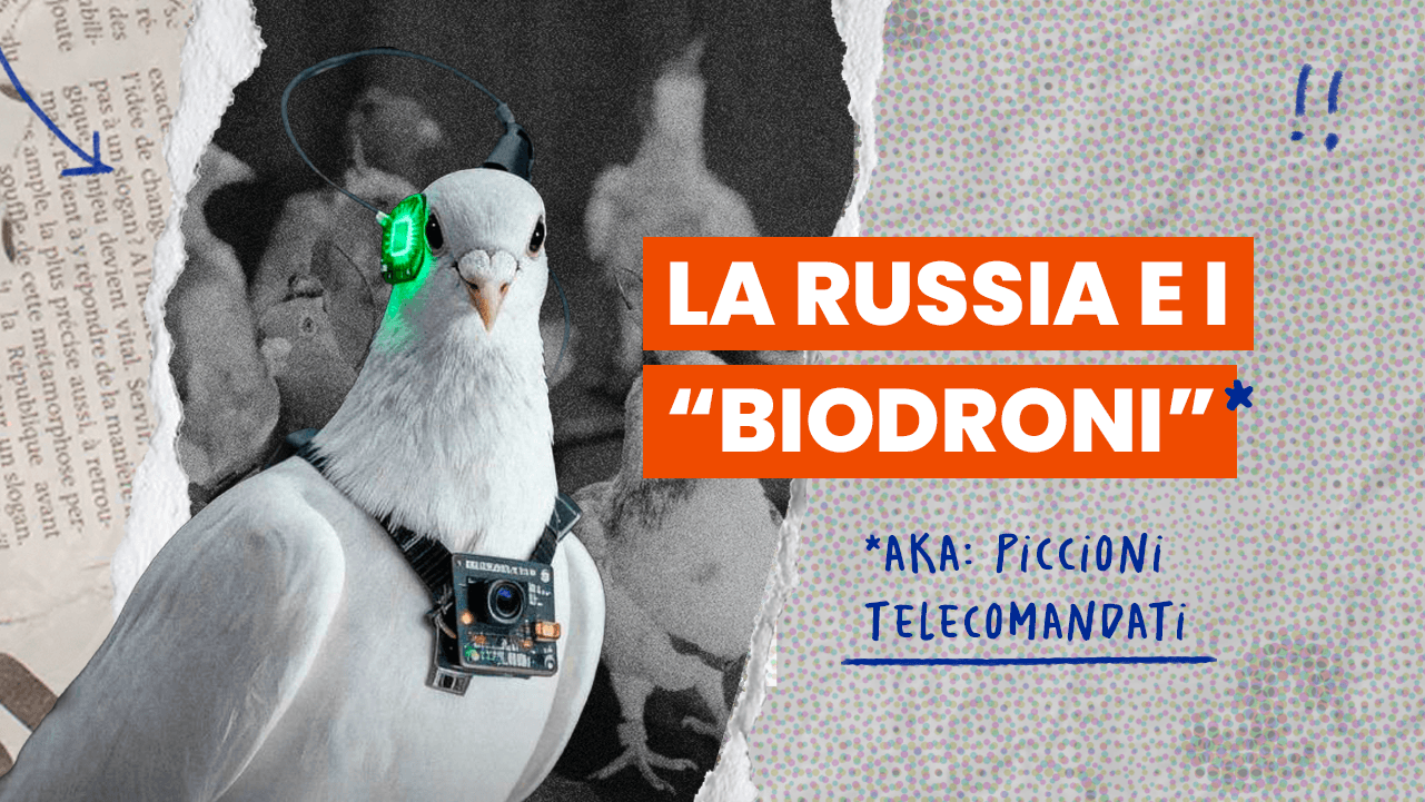 Piccioni telecomandati per la sorveglianza urbana