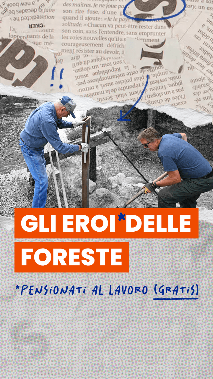 Foreste USA abbandonate dal governo: ci pensano i pensionati