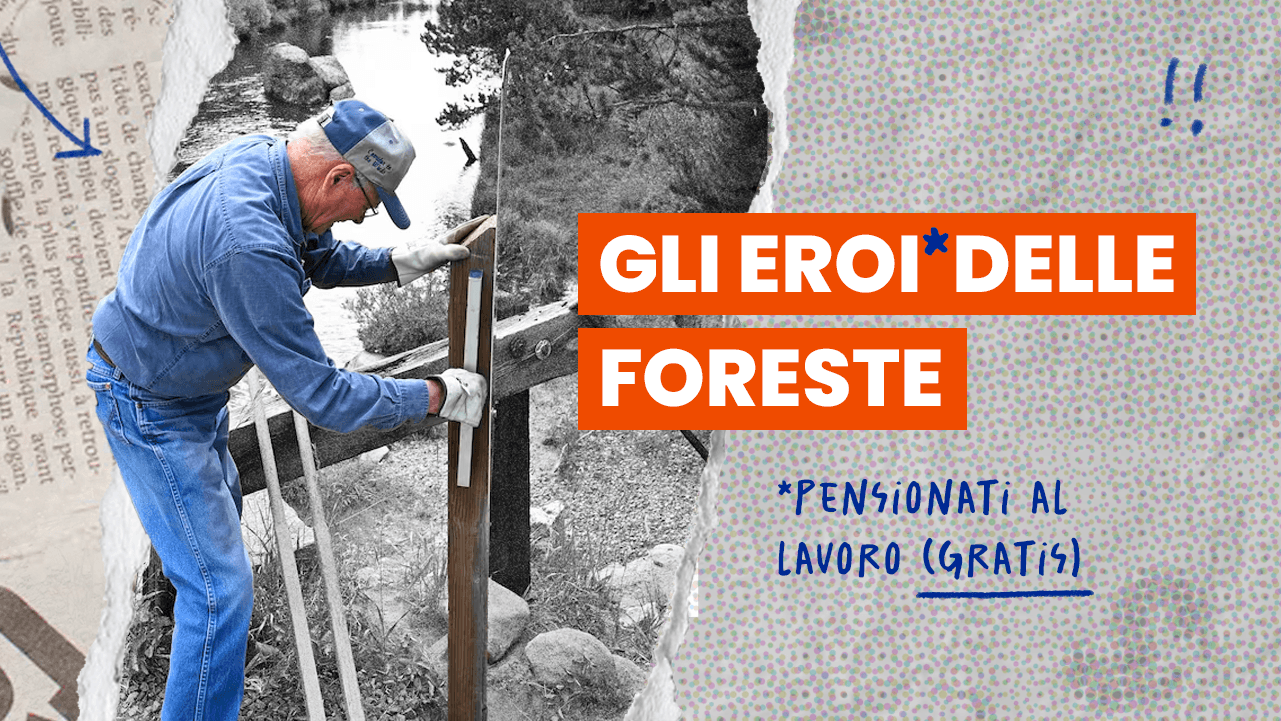 Foreste USA abbandonate dal governo: ci pensano i pensionati