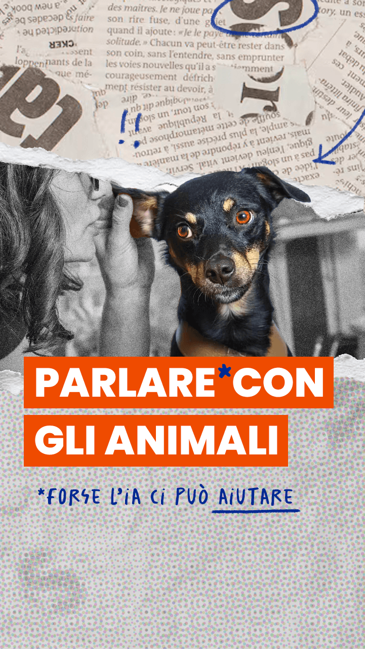 L’IA riuscirà davvero a farci parlare con gli animali?