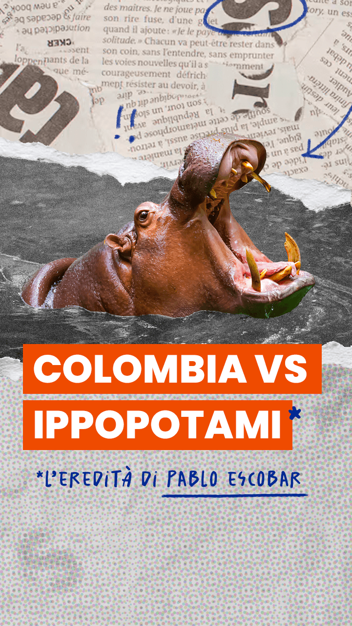 La Colombia vuole abbattere gli ippopotami di Escobar