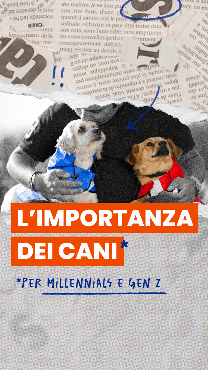 Quanta importanza diamo ai nostri animali domestici?
