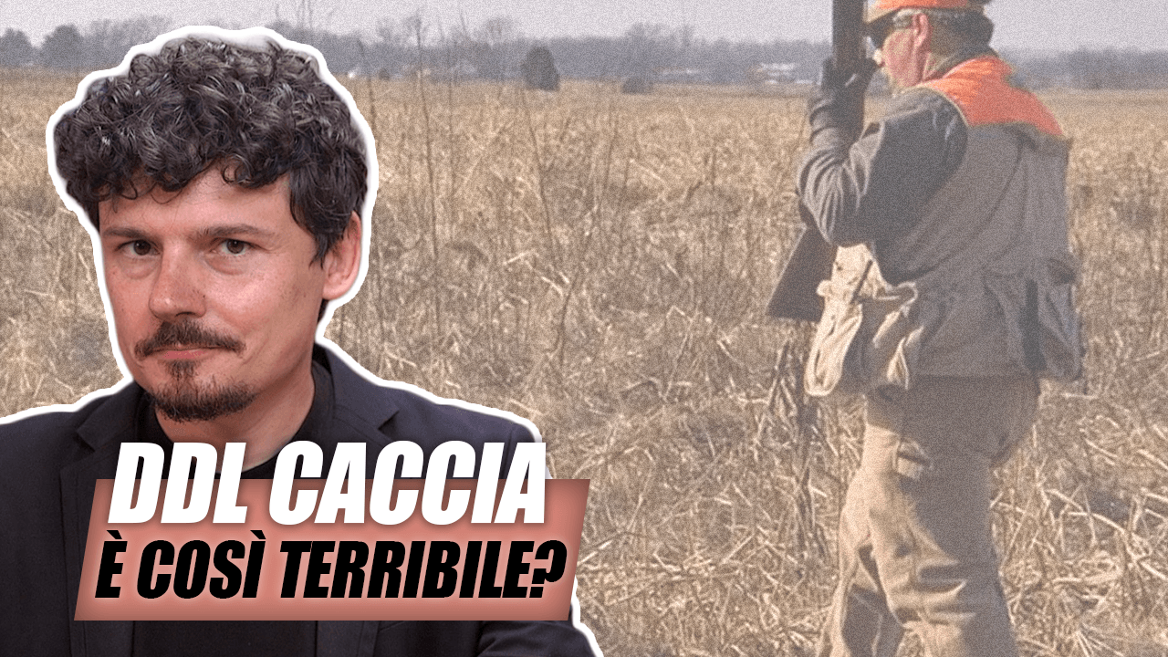 Il DDL sulla caccia sta per essere approvato… è davvero così terribile?
