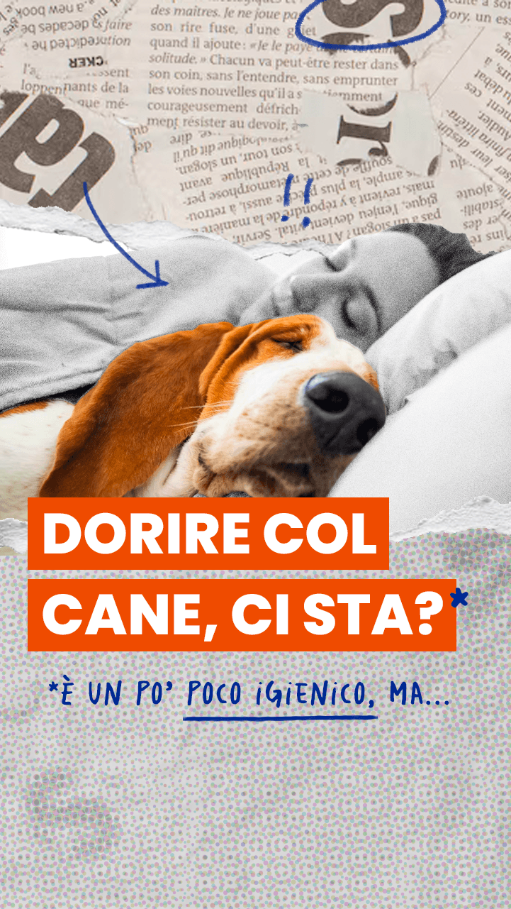 Dormire insieme al vostro animale domestico forse non è una brutta idea