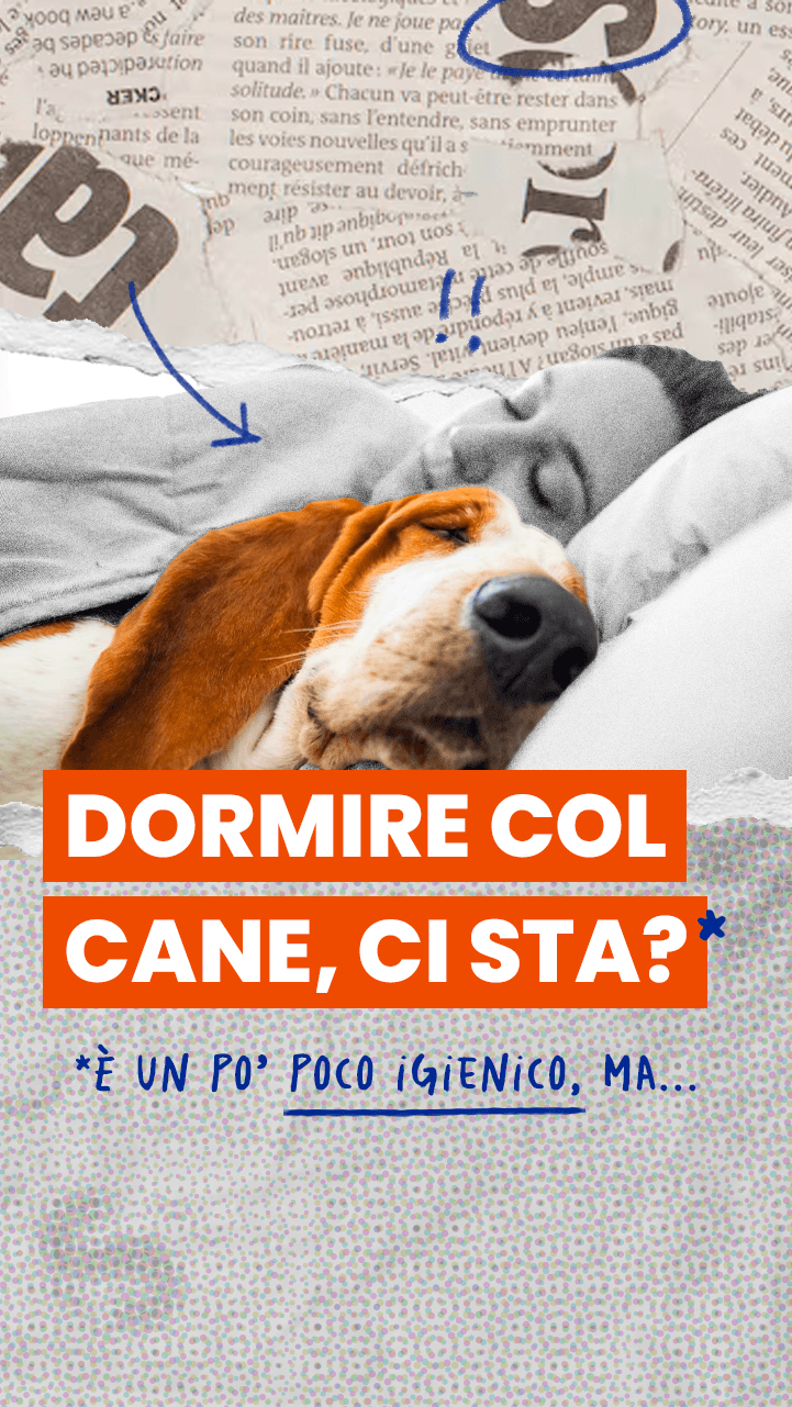 Dormire insieme al vostro animale domestico forse non è una brutta idea