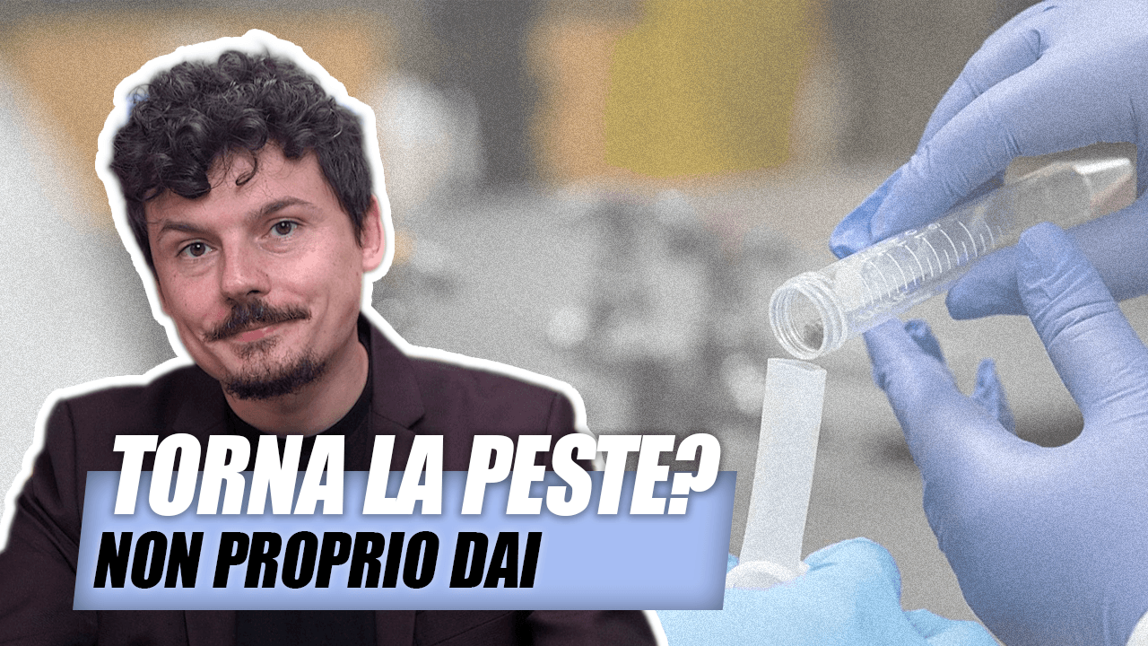 Quindi… sta tornando pure LA PESTE?